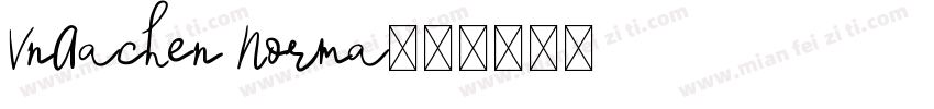 VnAachen Norma字体转换